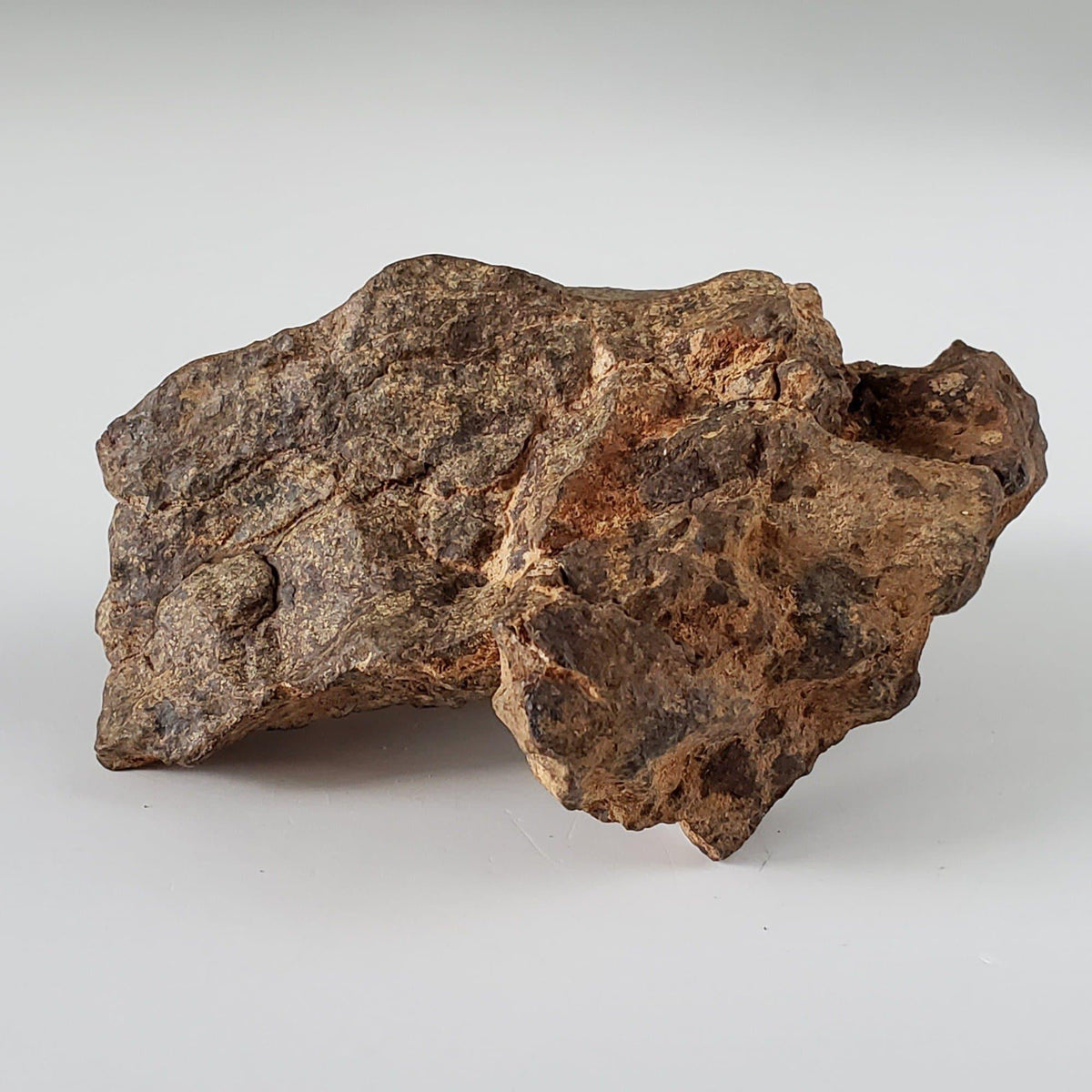  Northwest Africa NWA Meteorite | 108.23 Grams | Individual Fragment | Sahara 3