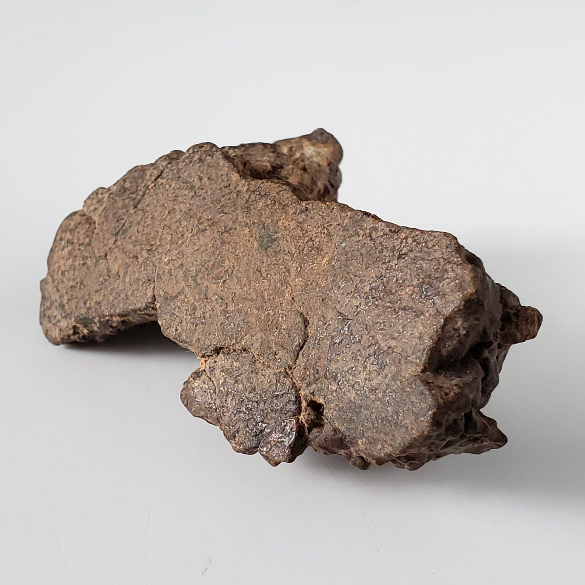  Northwest Africa NWA Meteorite | 110.70 Grams | Individual Fragment | Sahara 2