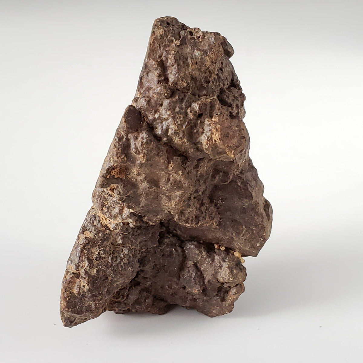  Northwest Africa NWA Meteorite | 110.70 Grams | Individual Fragment | Sahara 5