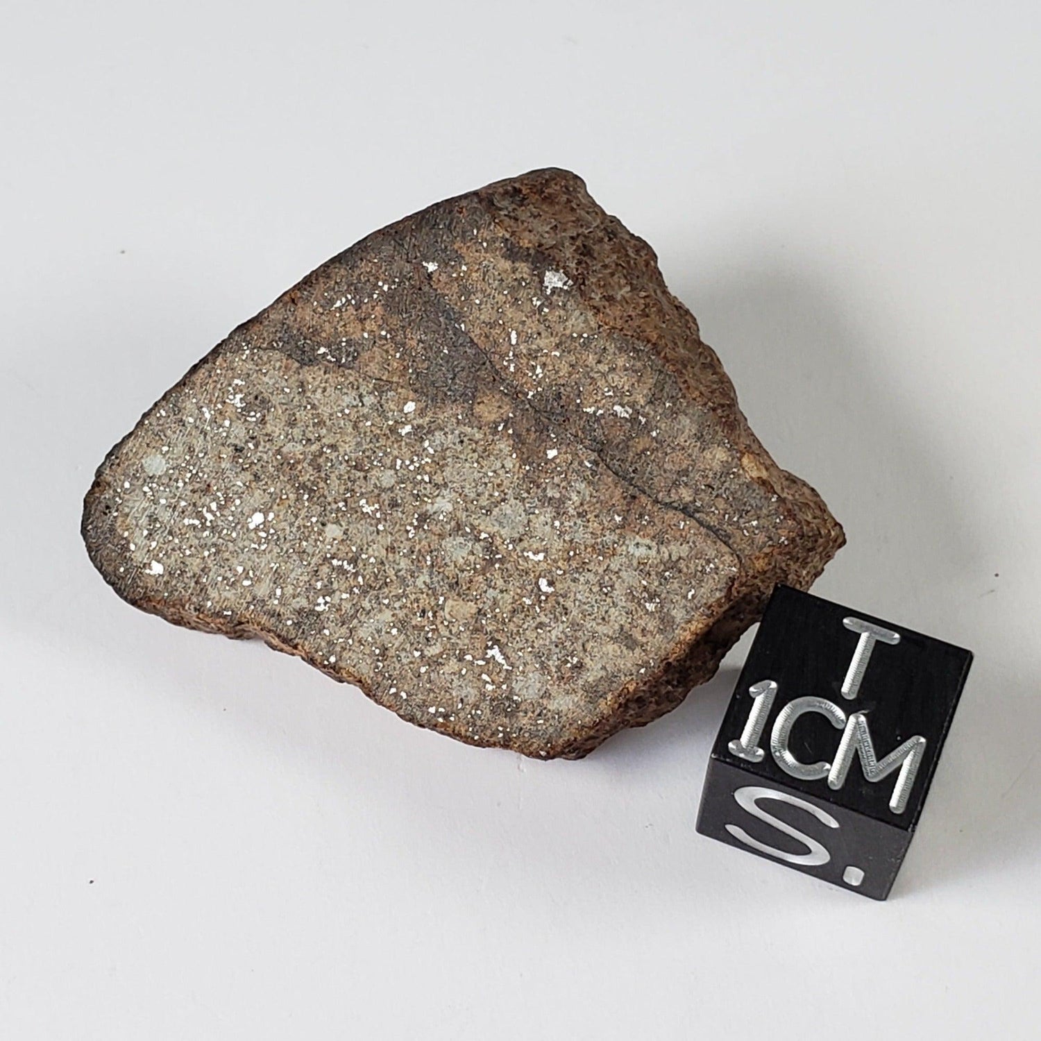  Northwest Africa NWA Meteorite | 12.14 Grams | Slice | Sahara SO24 