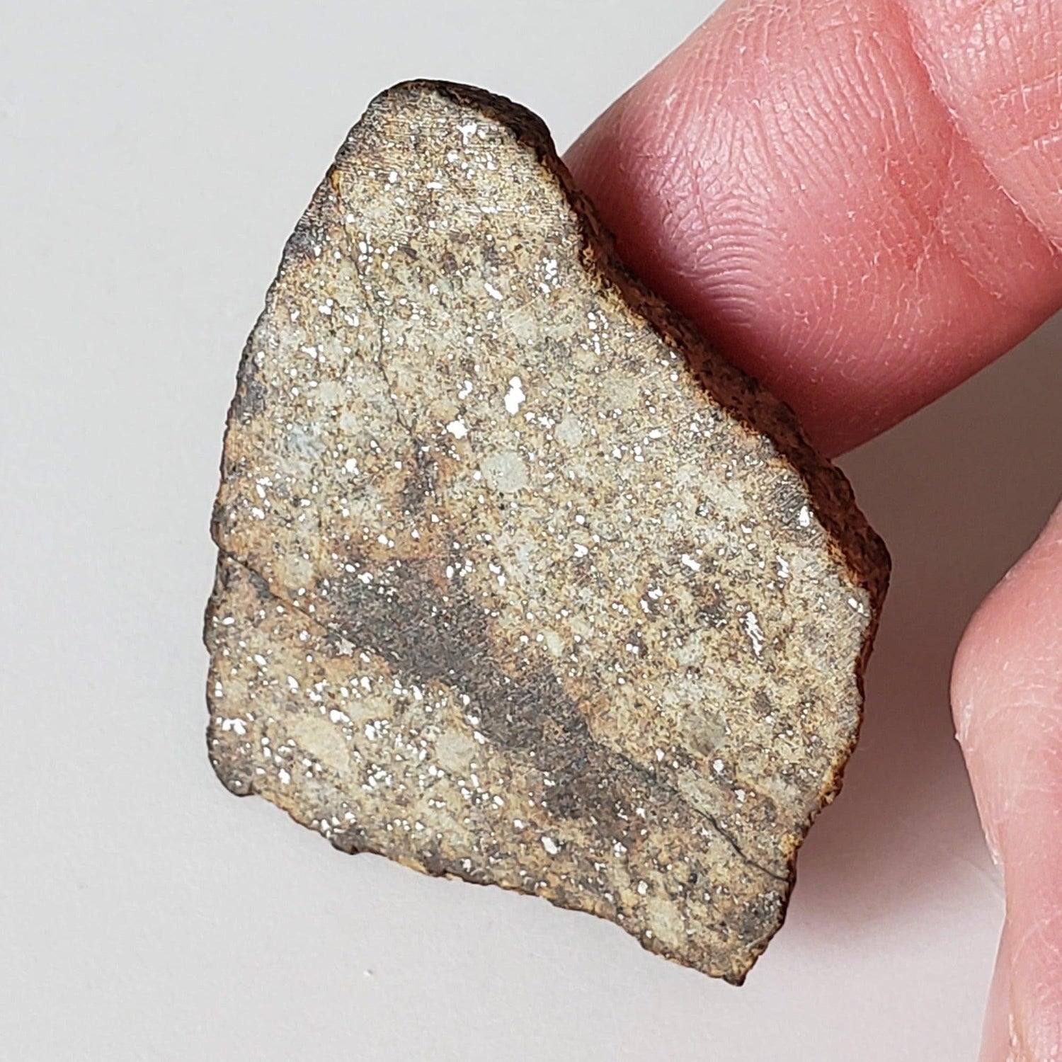  Northwest Africa NWA Meteorite | 12.14 Grams | Slice | Sahara SO24 1