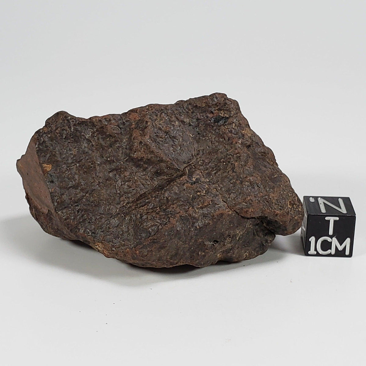  Northwest Africa NWA Meteorite | 124.3 Grams | Individual Cut Fragment | Sahara 