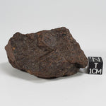  Northwest Africa NWA Meteorite | 124.3 Grams | Individual Cut Fragment | Sahara 