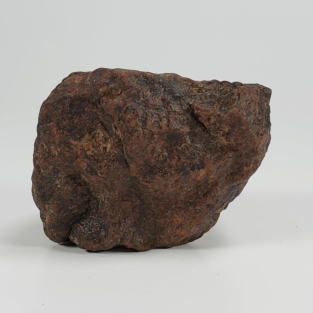  Northwest Africa NWA Meteorite | 124.3 Grams | Individual Cut Fragment | Sahara 3