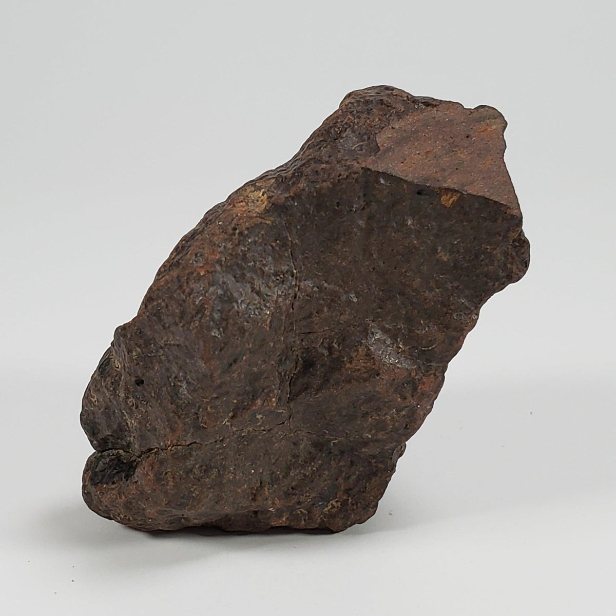  Northwest Africa NWA Meteorite | 124.3 Grams | Individual Cut Fragment | Sahara 5