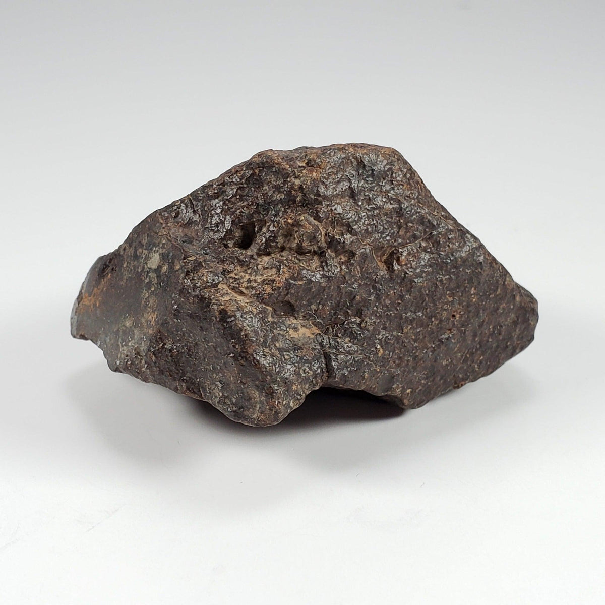  Northwest Africa NWA Meteorite | 126.9 Grams | End Cut | Sahara | SO24 1