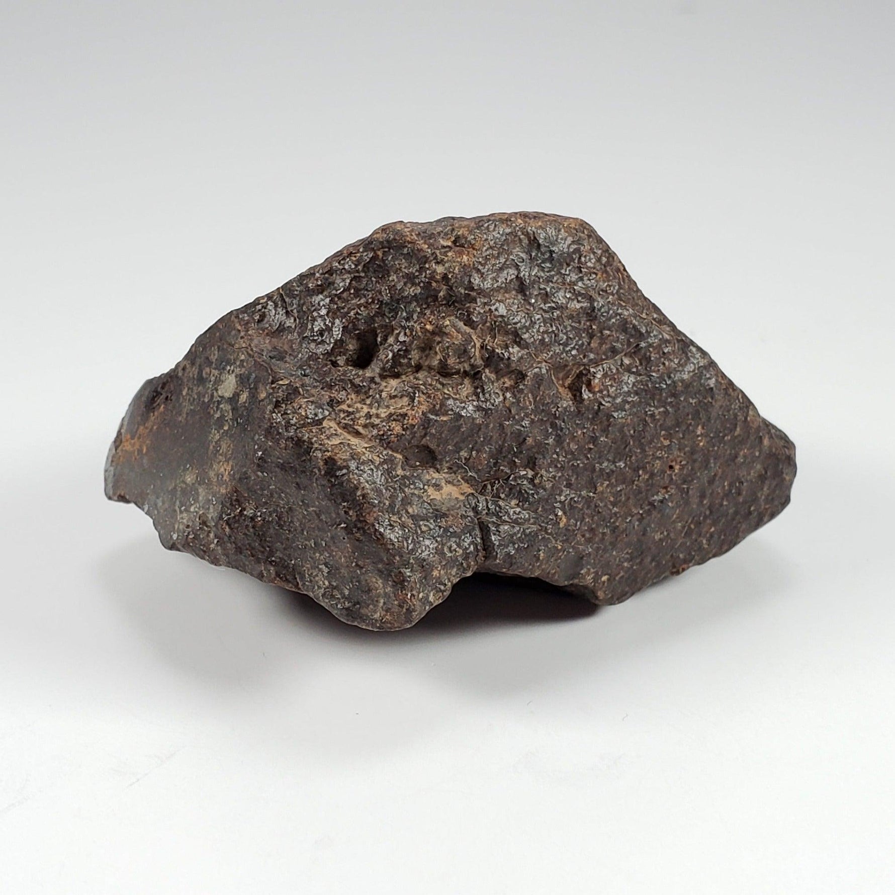 Northwest Africa NWA Meteorite | 126.9 Grams | End Cut | Sahara | SO24 1