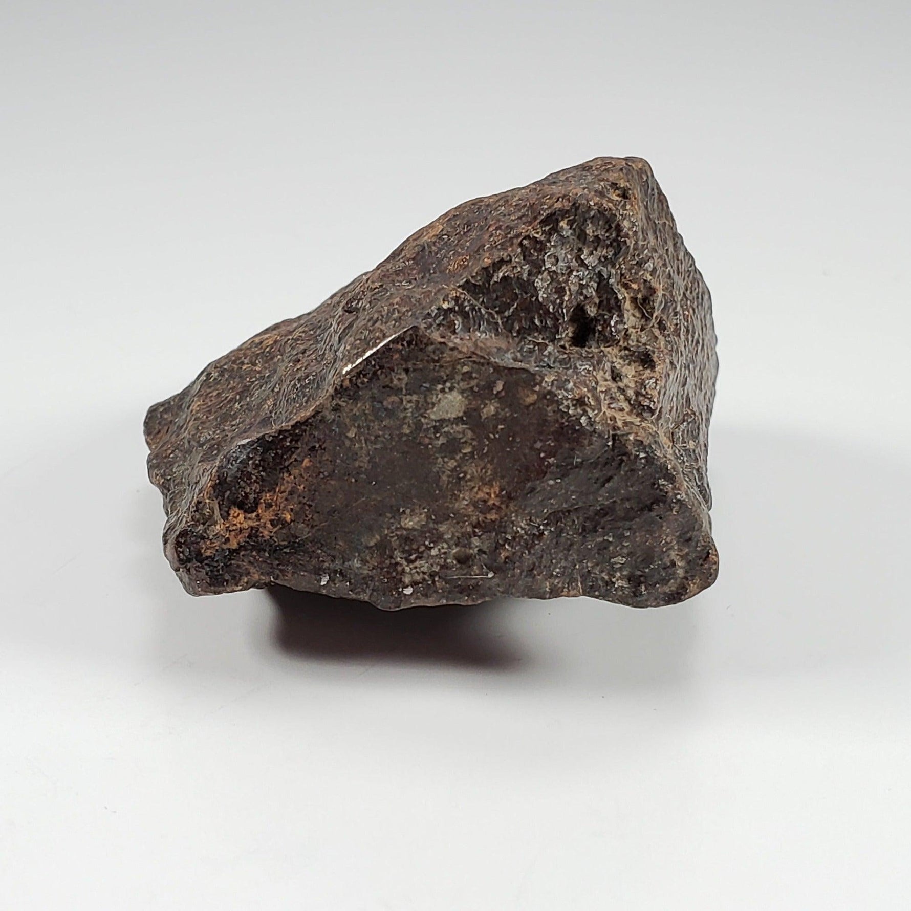  Northwest Africa NWA Meteorite | 126.9 Grams | End Cut | Sahara | SO24 3