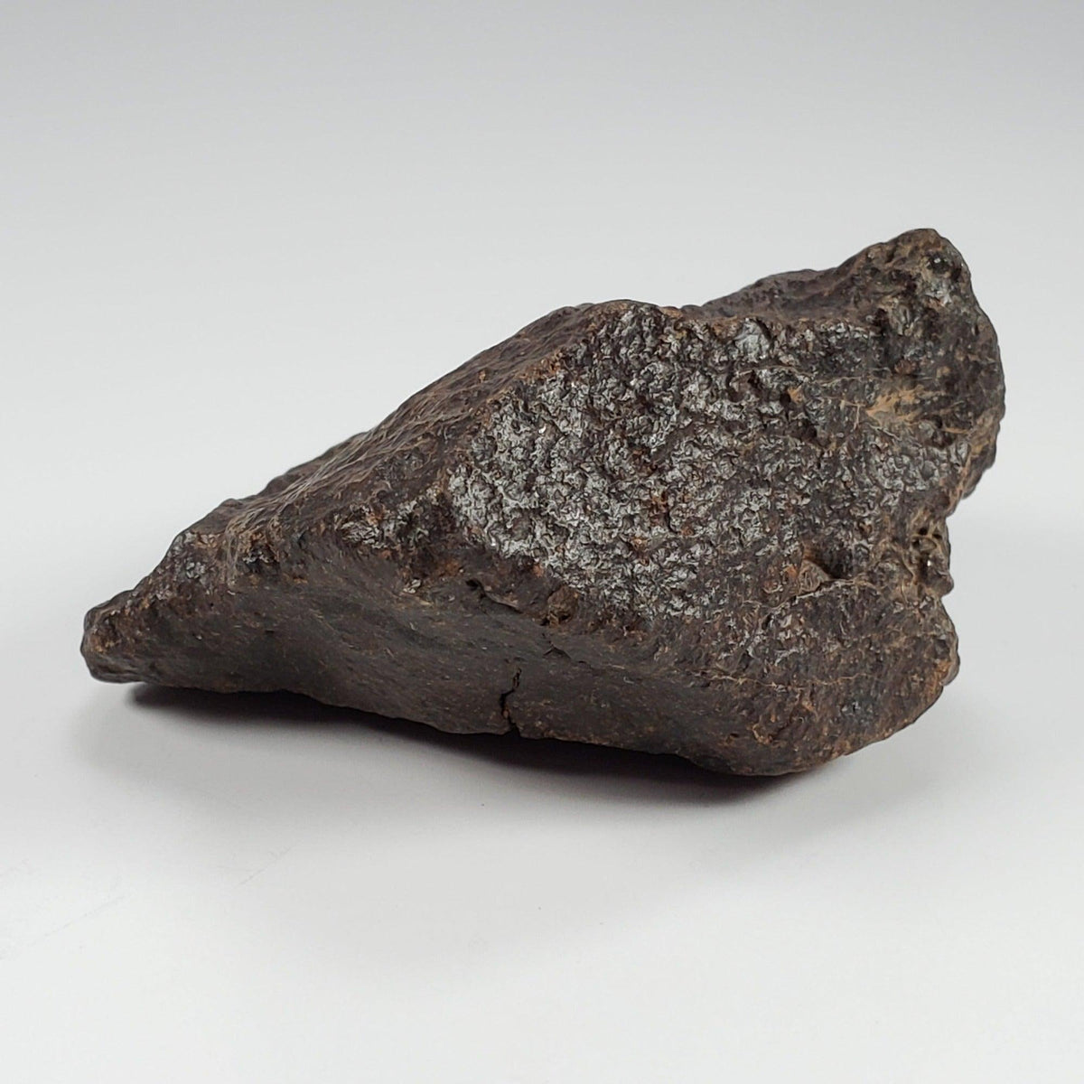  Northwest Africa NWA Meteorite | 126.9 Grams | End Cut | Sahara | SO24 6