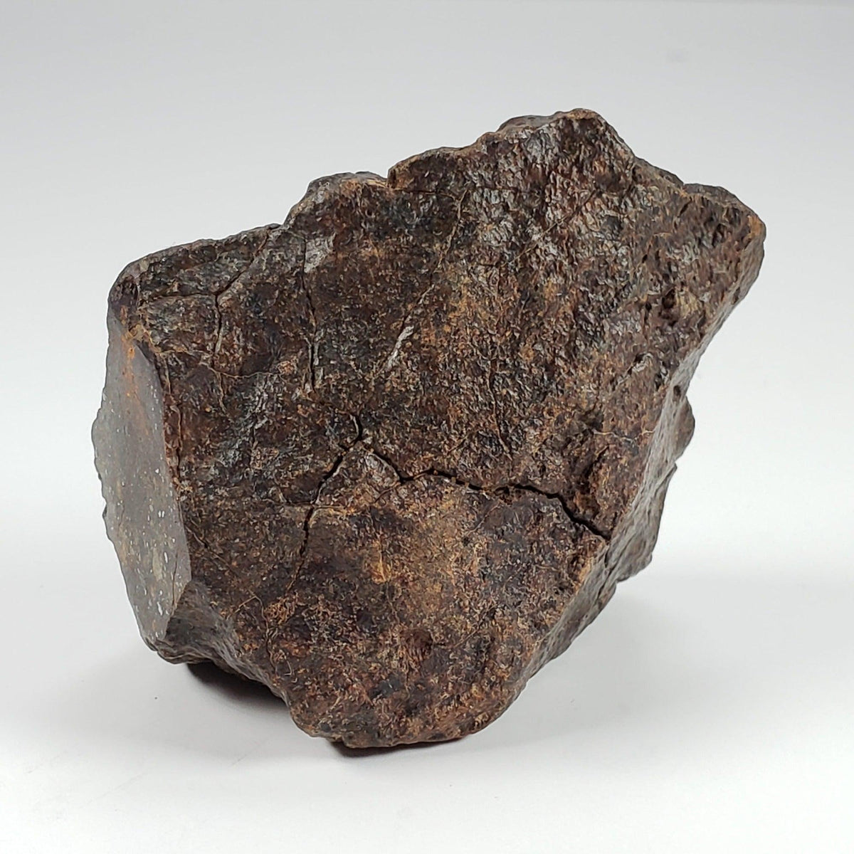  Northwest Africa NWA Meteorite | 126.9 Grams | End Cut | Sahara | SO24 8