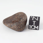  Northwest Africa NWA Meteorite | 13.6 Grams | Individual | Tumbled Meteorite | Sahara 