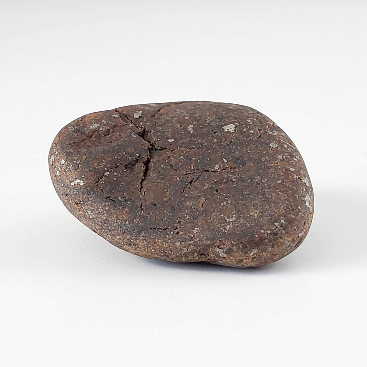  Northwest Africa NWA Meteorite | 13.6 Grams | Individual | Tumbled Meteorite | Sahara 5