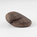  Northwest Africa NWA Meteorite | 13.6 Grams | Individual | Tumbled Meteorite | Sahara 6