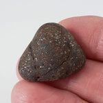  Northwest Africa NWA Meteorite | 13.6 Grams | Individual | Tumbled Meteorite | Sahara 7