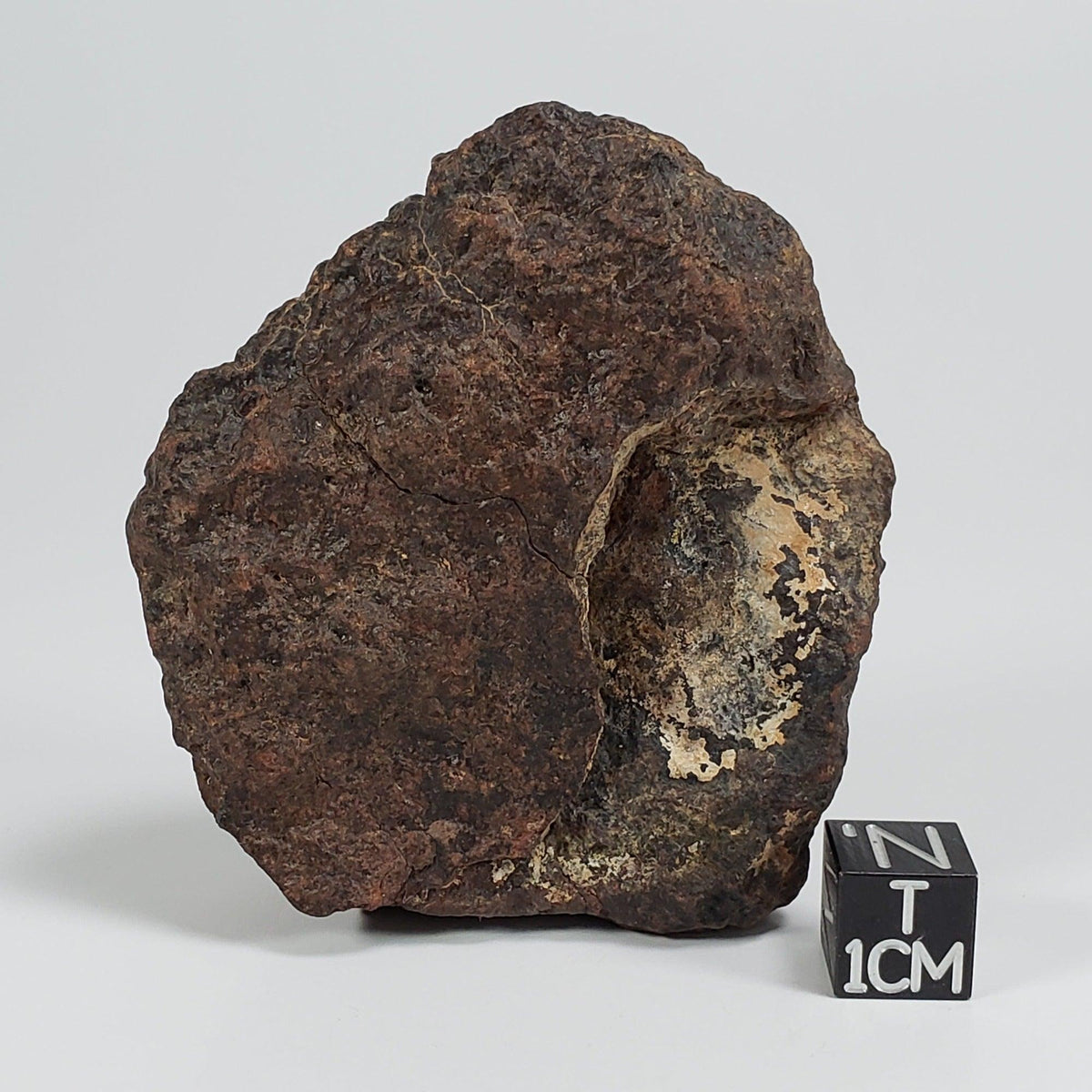  Northwest Africa NWA Meteorite | 140.7 Grams | Individual Cut Fragment | Sahara 