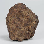  Northwest Africa NWA Meteorite | 140.7 Grams | Individual Cut Fragment | Sahara 1