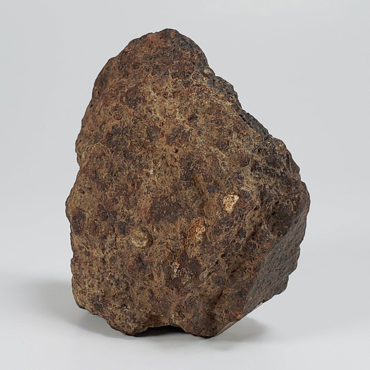  Northwest Africa NWA Meteorite | 140.7 Grams | Individual Cut Fragment | Sahara 2