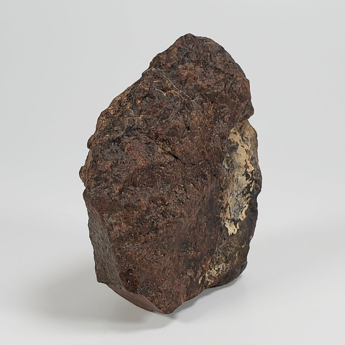  Northwest Africa NWA Meteorite | 140.7 Grams | Individual Cut Fragment | Sahara 3