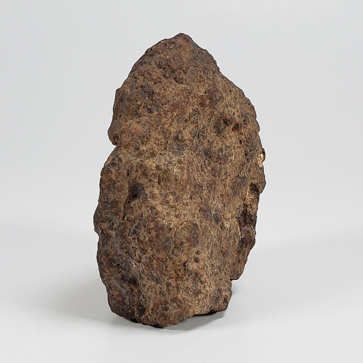  Northwest Africa NWA Meteorite | 140.7 Grams | Individual Cut Fragment | Sahara 4
