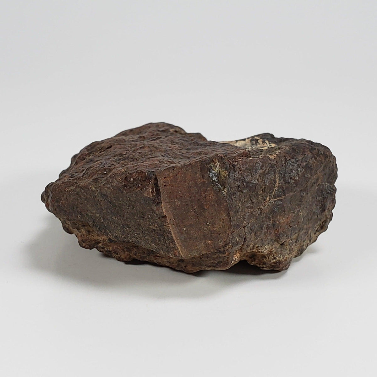  Northwest Africa NWA Meteorite | 140.7 Grams | Individual Cut Fragment | Sahara 5