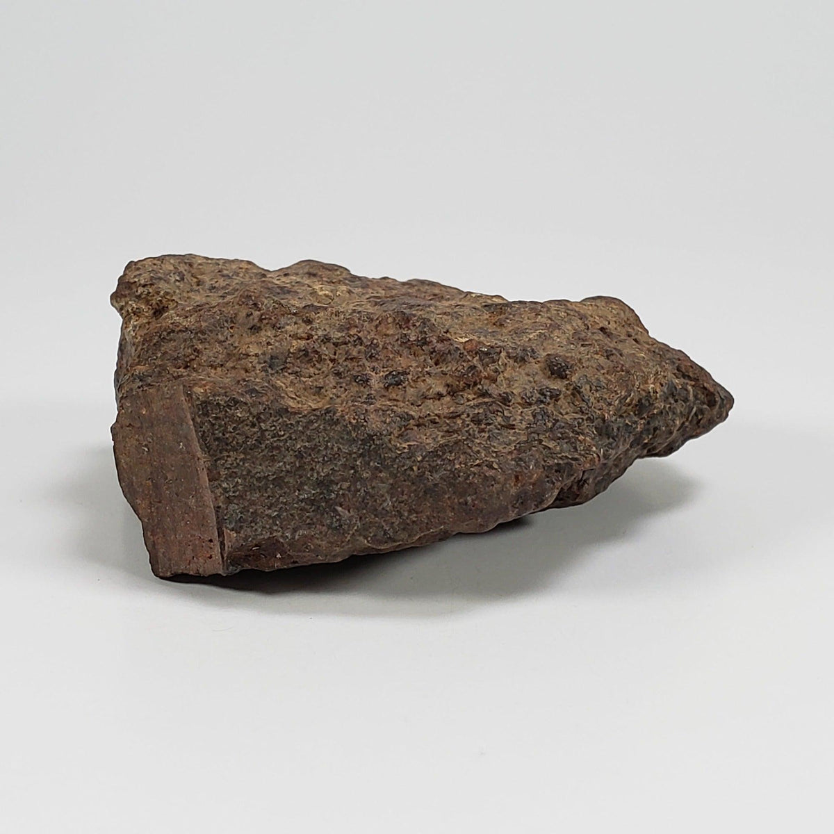  Northwest Africa NWA Meteorite | 140.7 Grams | Individual Cut Fragment | Sahara 7