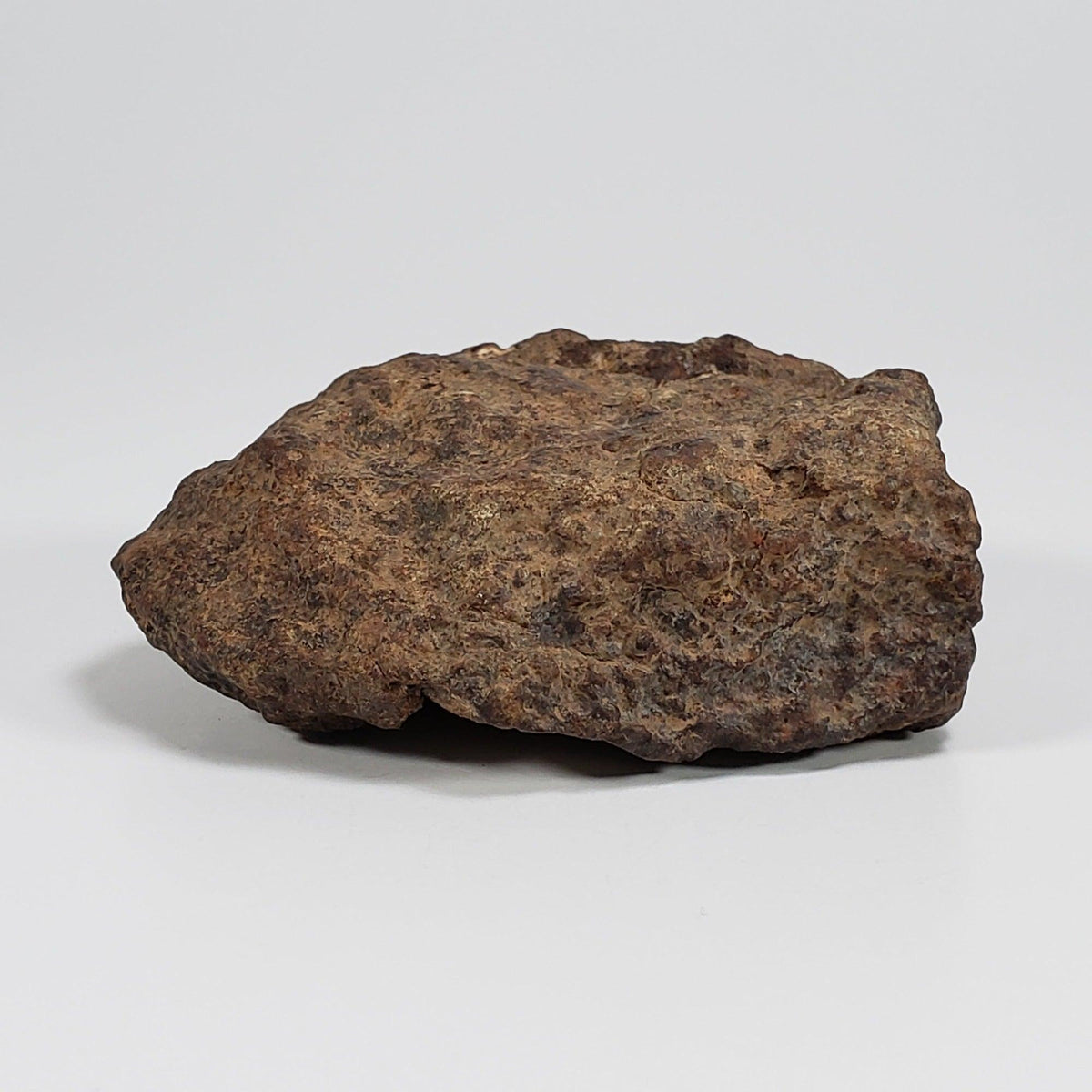  Northwest Africa NWA Meteorite | 140.7 Grams | Individual Cut Fragment | Sahara 8