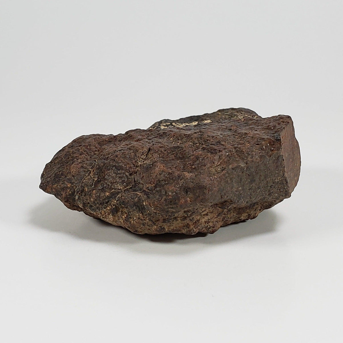  Northwest Africa NWA Meteorite | 140.7 Grams | Individual Cut Fragment | Sahara 9