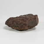  Northwest Africa NWA Meteorite | 140.7 Grams | Individual Cut Fragment | Sahara 9