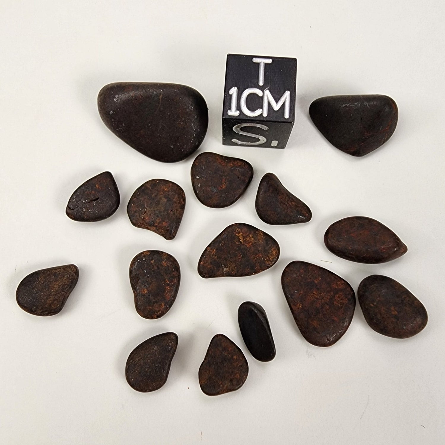  Northwest Africa NWA Meteorite | 15 Piece Lot | 8.8 Grams | Tumbled Individual Meteorites | Sahara | SO24 