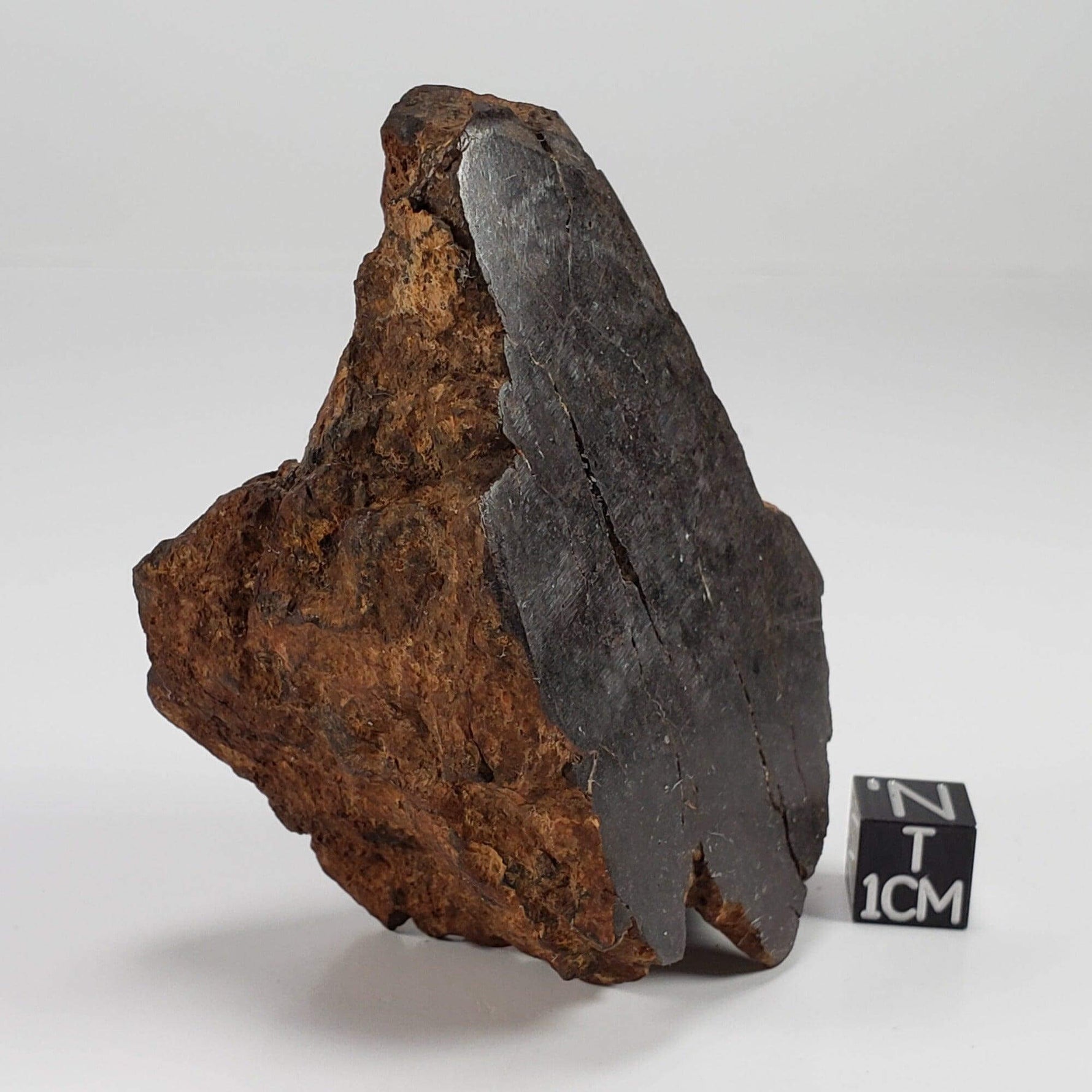  Northwest Africa NWA Meteorite | 160.8 Grams | End Cut | Sahara SO24 