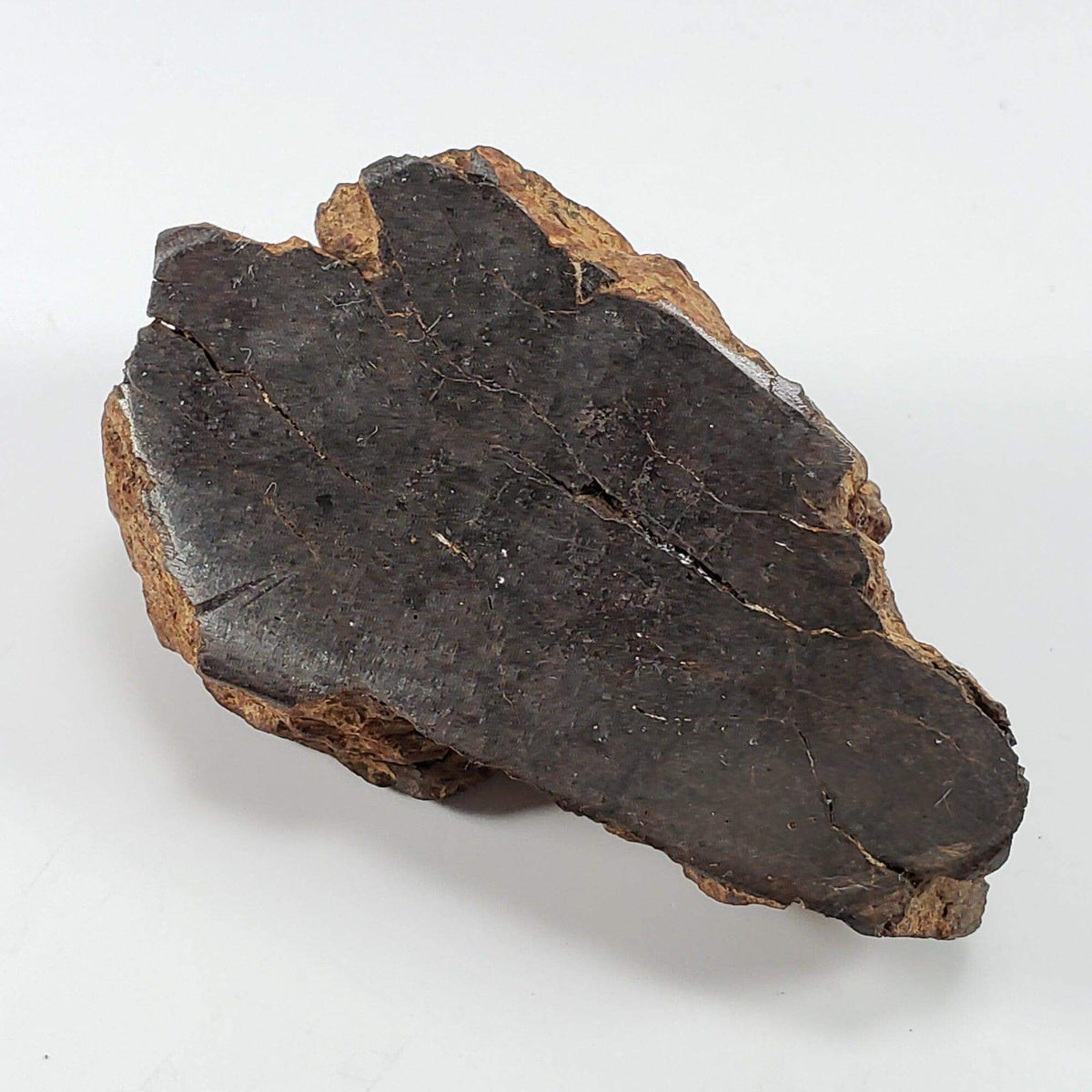  Northwest Africa NWA Meteorite | 160.8 Grams | End Cut | Sahara SO24 1