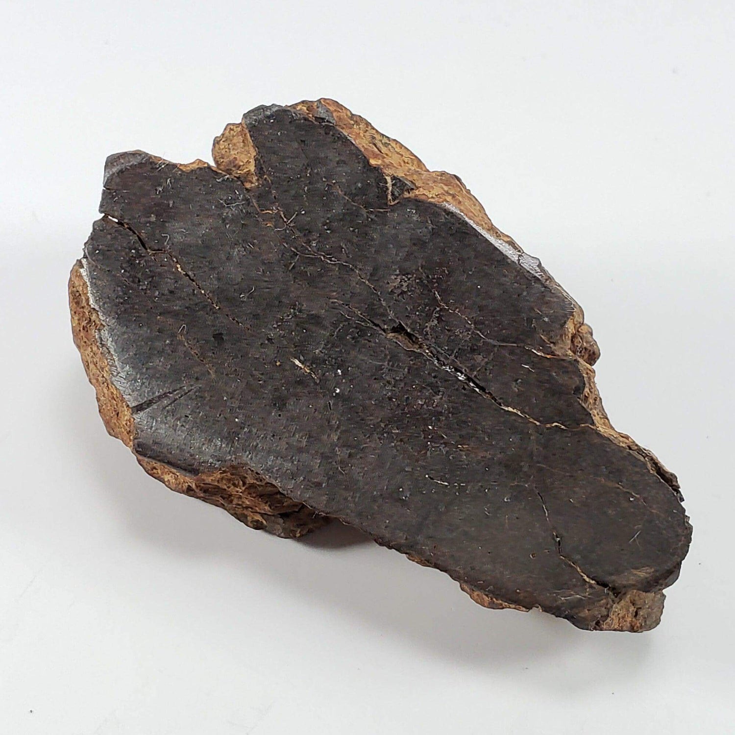  Northwest Africa NWA Meteorite | 160.8 Grams | End Cut | Sahara SO24 1