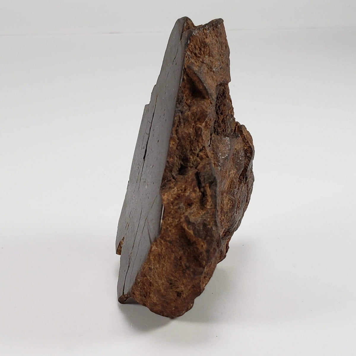  Northwest Africa NWA Meteorite | 160.8 Grams | End Cut | Sahara SO24 2