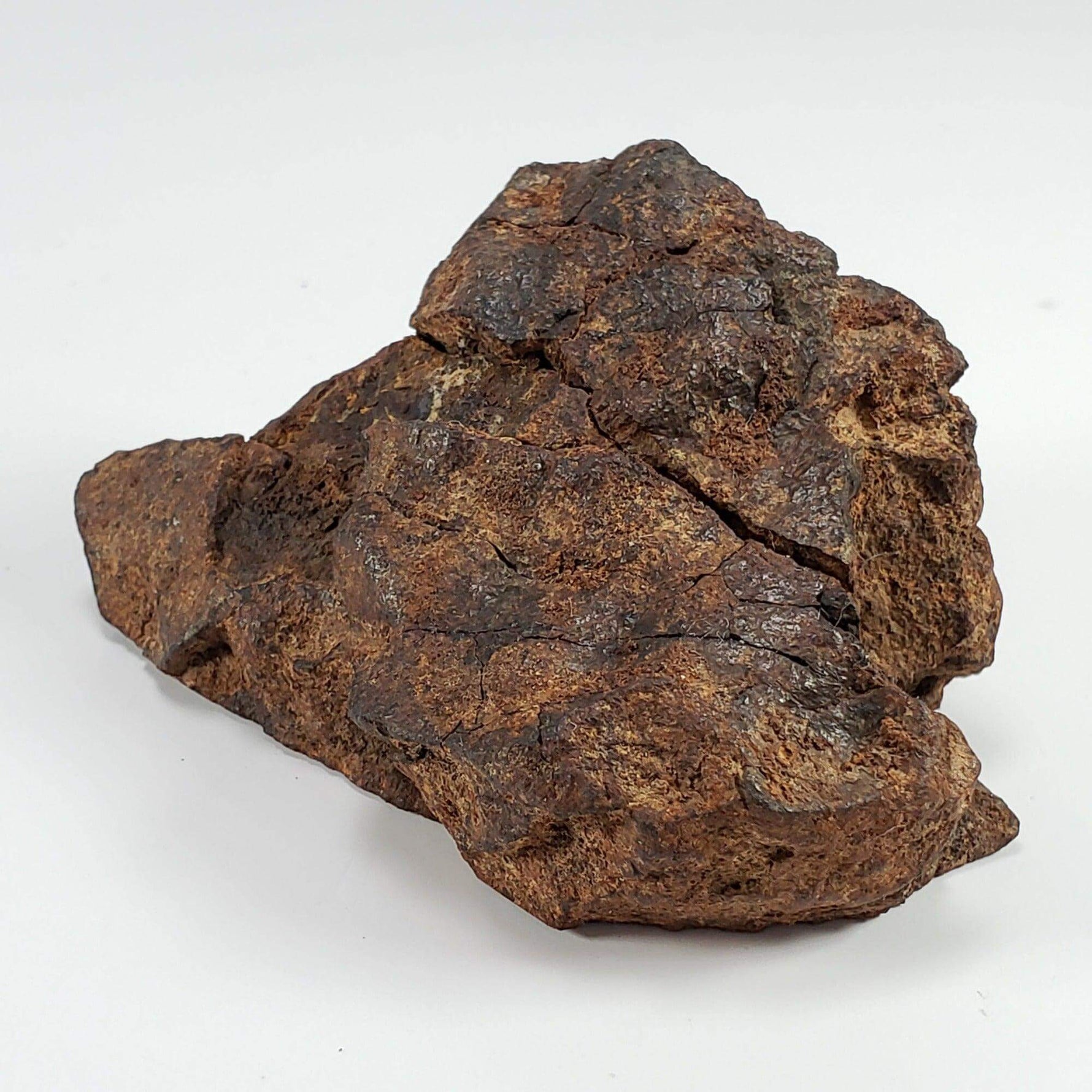  Northwest Africa NWA Meteorite | 160.8 Grams | End Cut | Sahara SO24 4