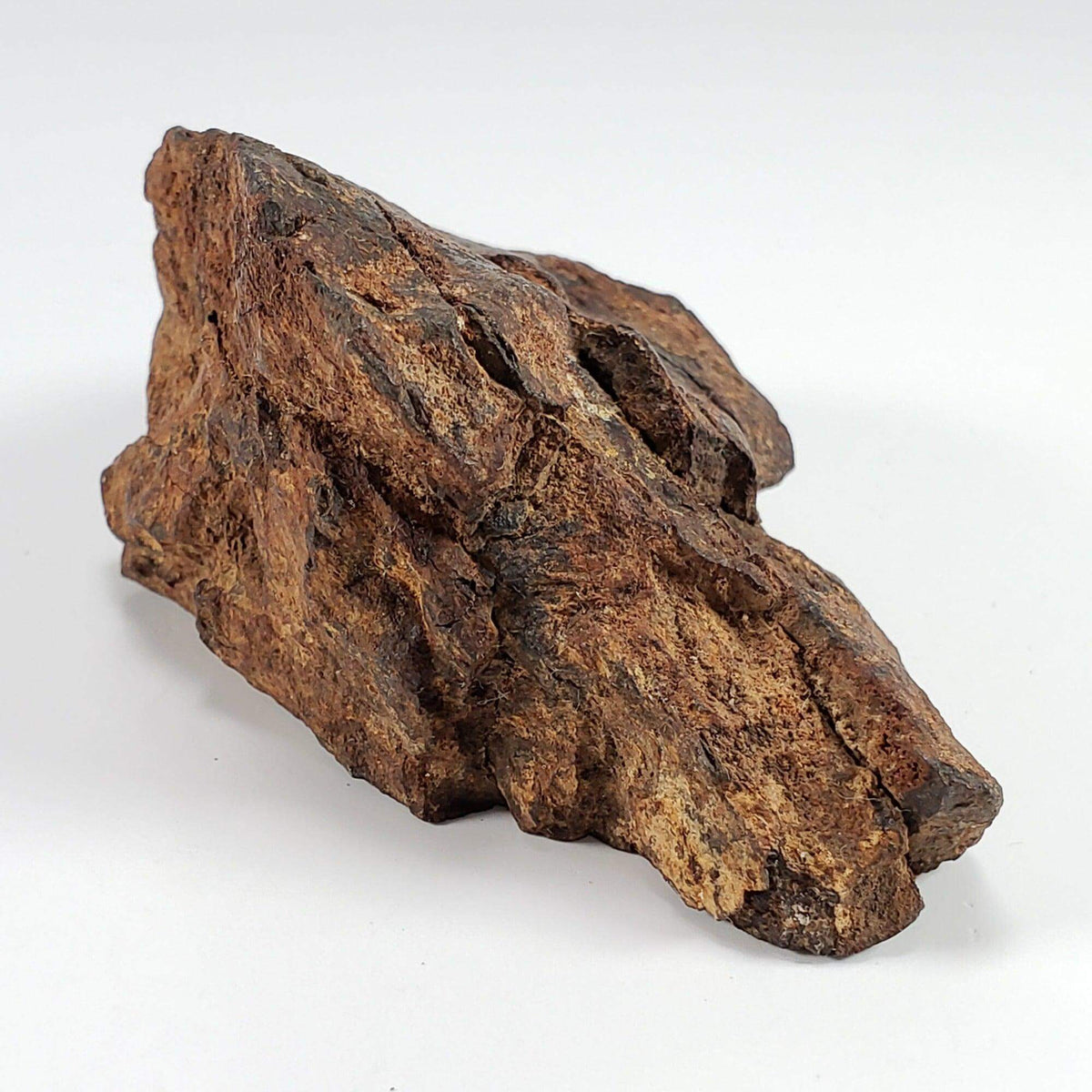  Northwest Africa NWA Meteorite | 160.8 Grams | End Cut | Sahara SO24 5