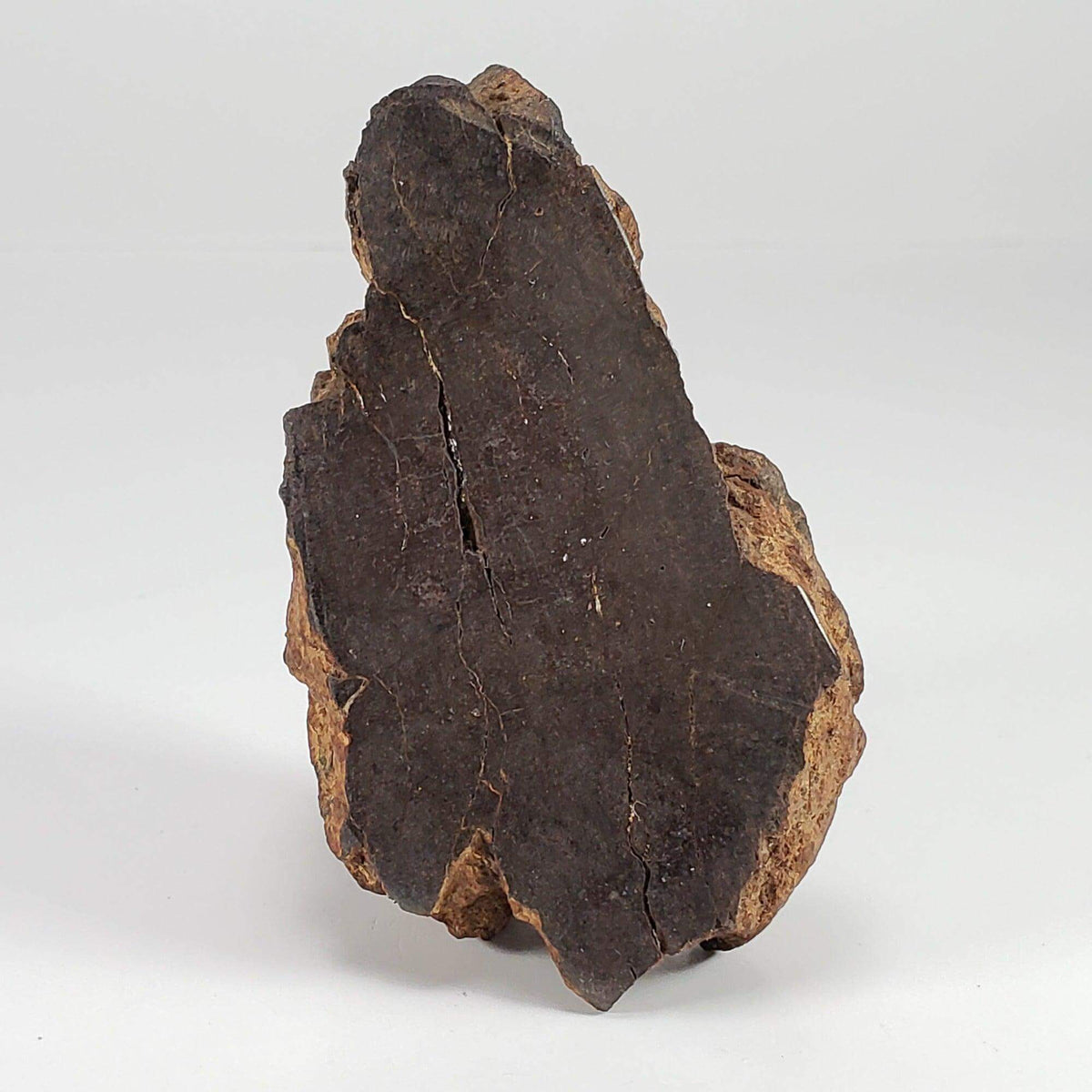  Northwest Africa NWA Meteorite | 160.8 Grams | End Cut | Sahara SO24 8