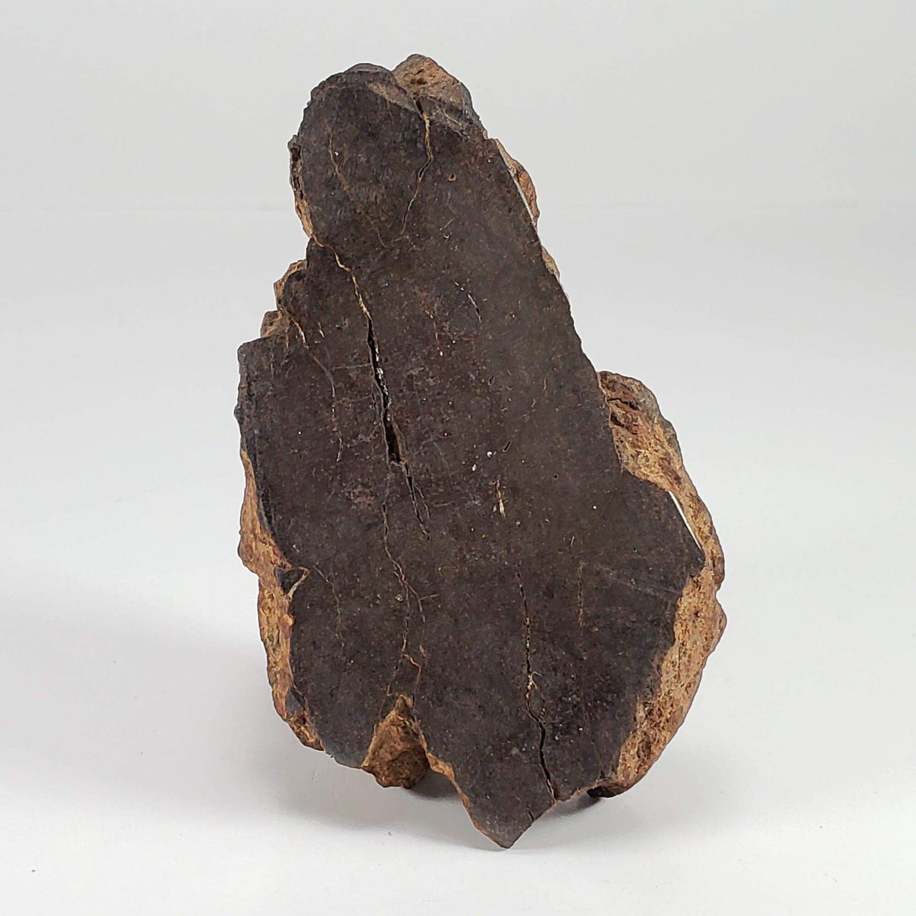  Northwest Africa NWA Meteorite | 160.8 Grams | End Cut | Sahara SO24 8