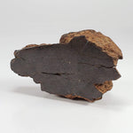  Northwest Africa NWA Meteorite | 160.8 Grams | End Cut | Sahara SO24 9