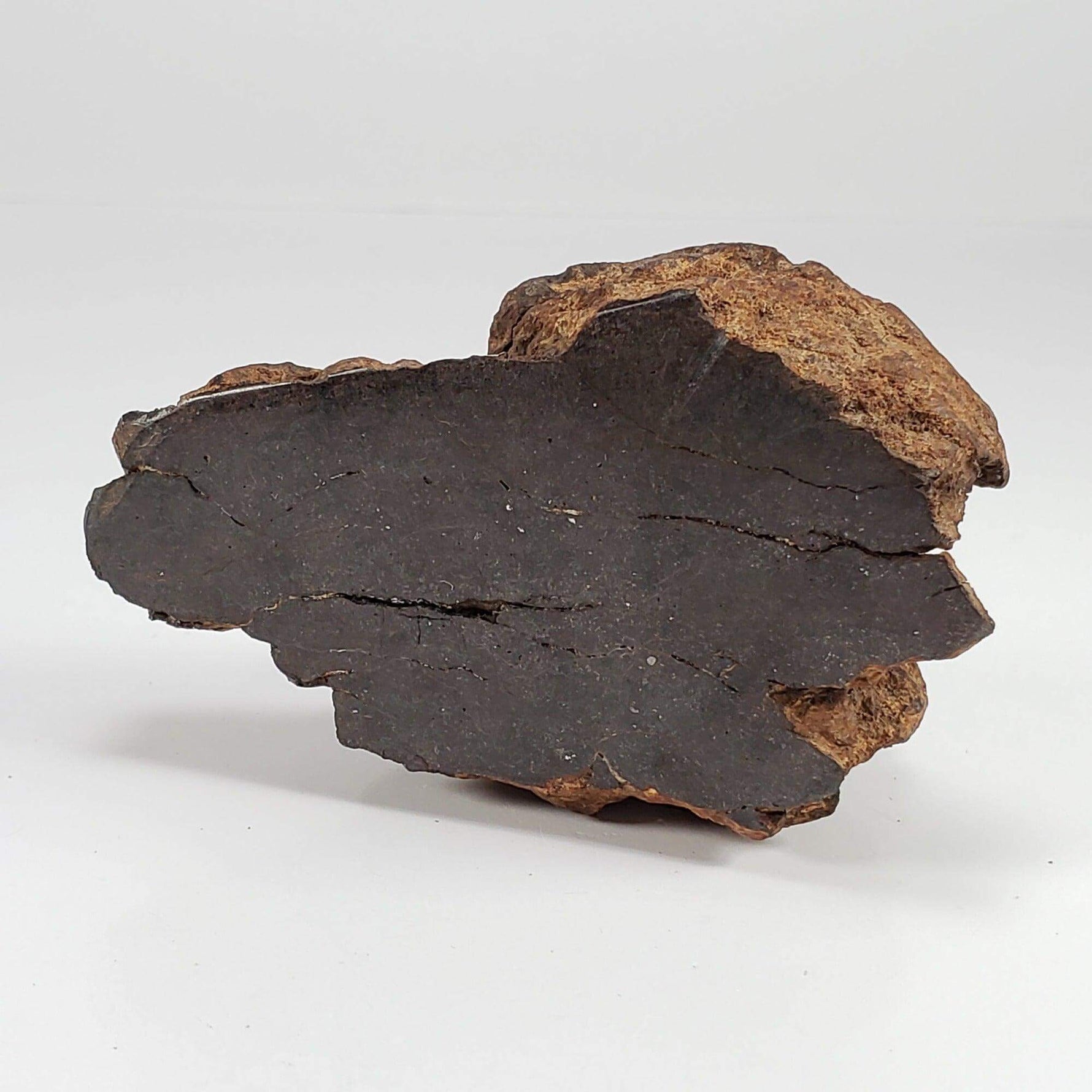  Northwest Africa NWA Meteorite | 160.8 Grams | End Cut | Sahara SO24 9