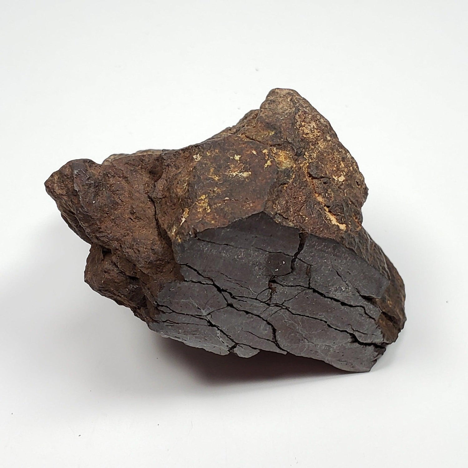  Northwest Africa NWA Meteorite | 169.8 Grams | End Cut | Sahara | SO24 1