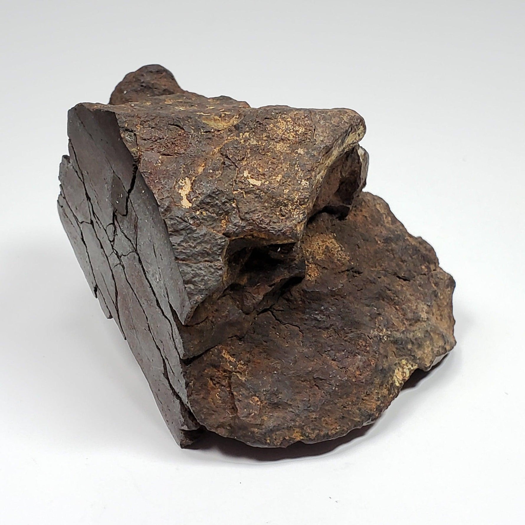  Northwest Africa NWA Meteorite | 169.8 Grams | End Cut | Sahara | SO24 2