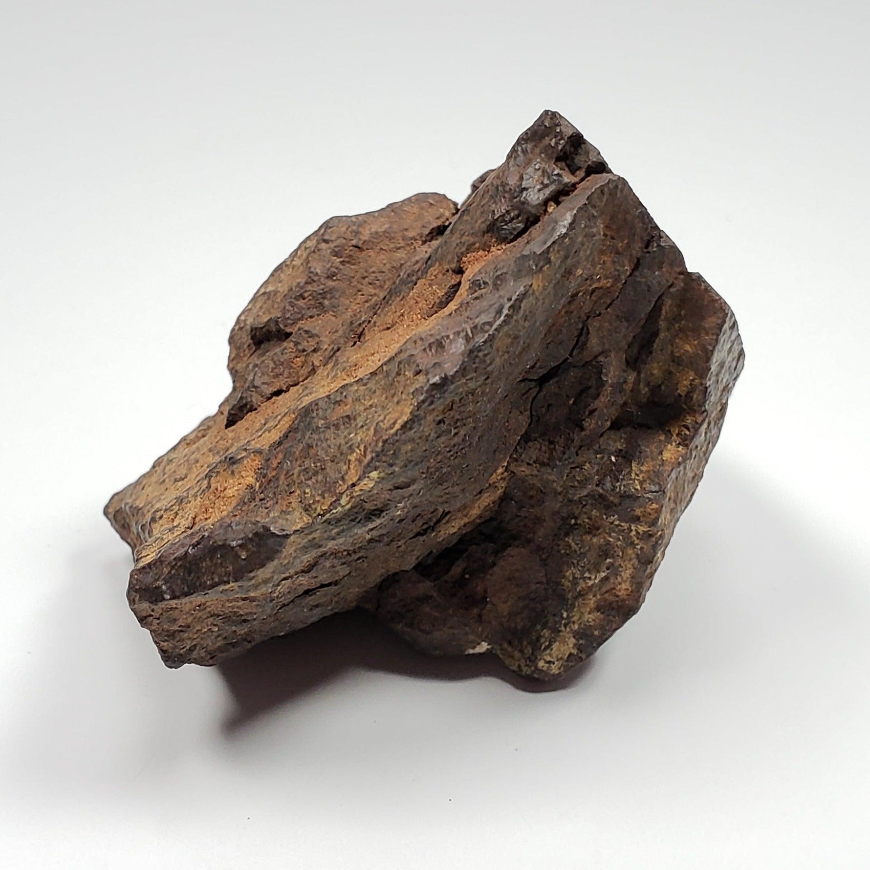  Northwest Africa NWA Meteorite | 169.8 Grams | End Cut | Sahara | SO24 3