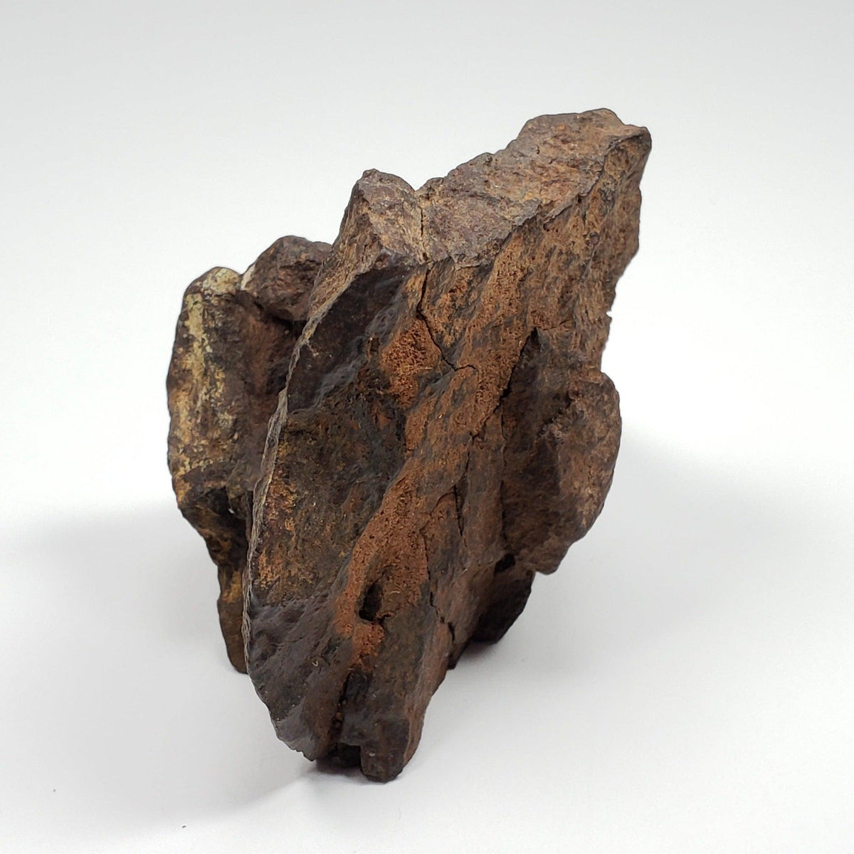  Northwest Africa NWA Meteorite | 169.8 Grams | End Cut | Sahara | SO24 5