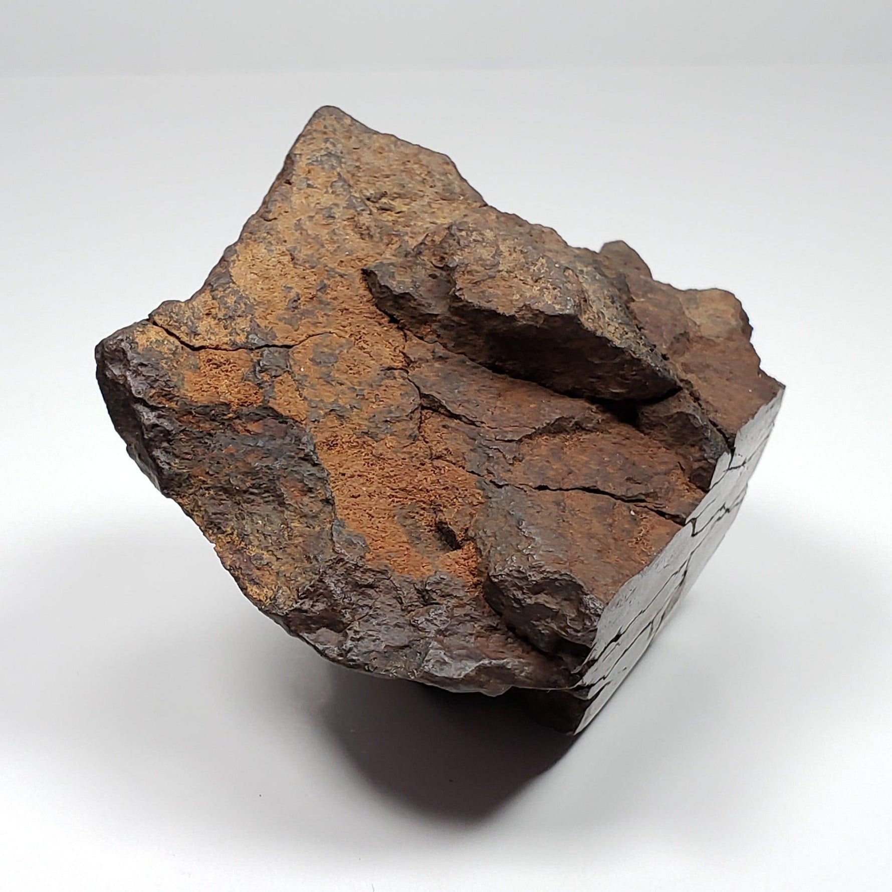  Northwest Africa NWA Meteorite | 169.8 Grams | End Cut | Sahara | SO24 6