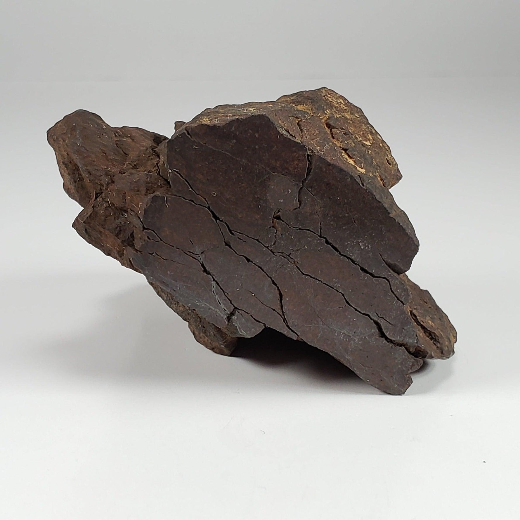  Northwest Africa NWA Meteorite | 169.8 Grams | End Cut | Sahara | SO24 7