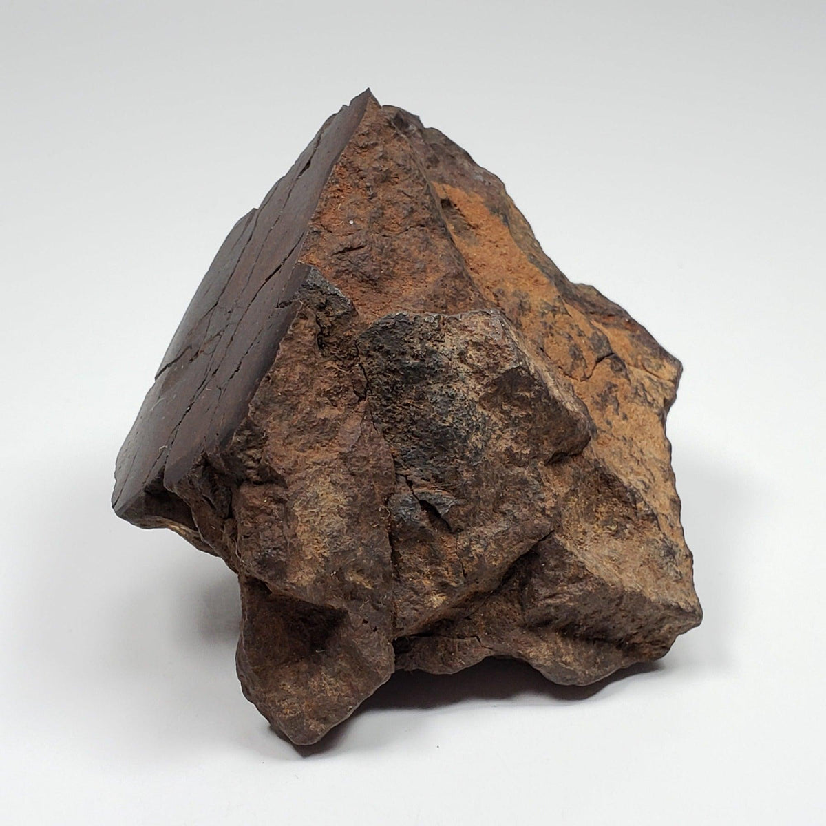  Northwest Africa NWA Meteorite | 169.8 Grams | End Cut | Sahara | SO24 8