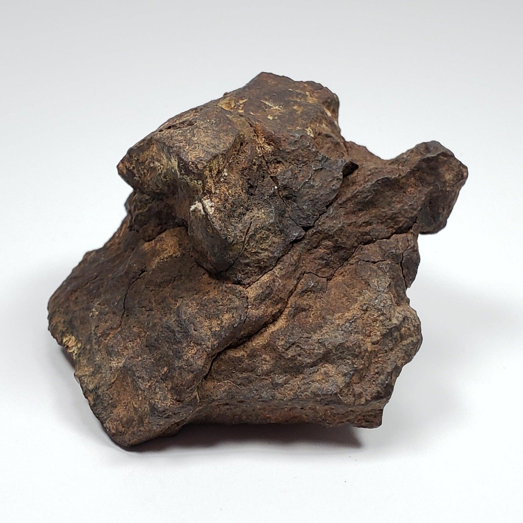  Northwest Africa NWA Meteorite | 169.8 Grams | End Cut | Sahara | SO24 9