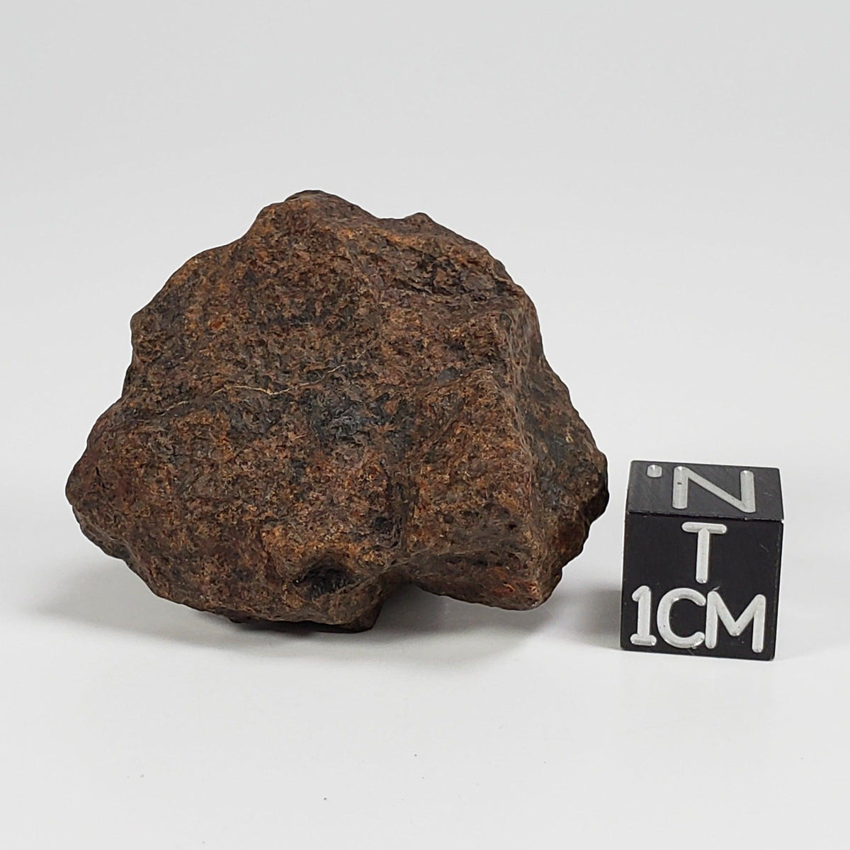  Northwest Africa NWA Meteorite | 18 Grams | Individual Fragment | Sahara SO24 