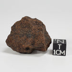  Northwest Africa NWA Meteorite | 18 Grams | Individual Fragment | Sahara SO24 