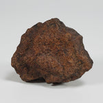  Northwest Africa NWA Meteorite | 18 Grams | Individual Fragment | Sahara SO24 1
